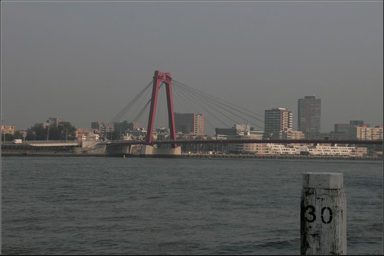 photo3.jpg