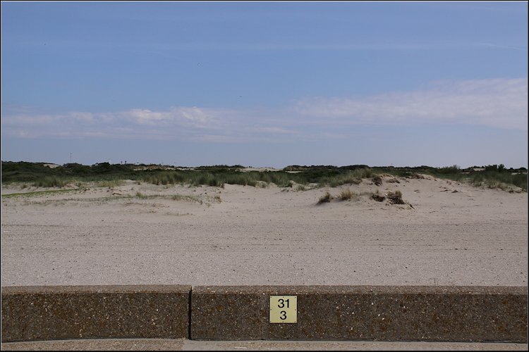 photo7.jpg