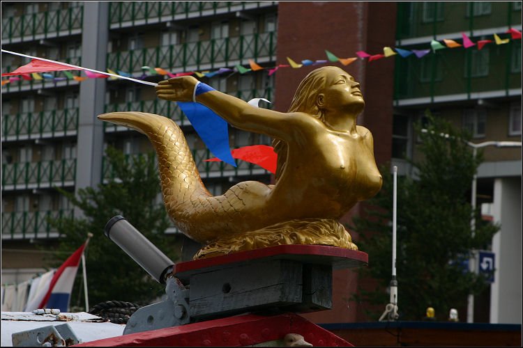 photo9.jpg