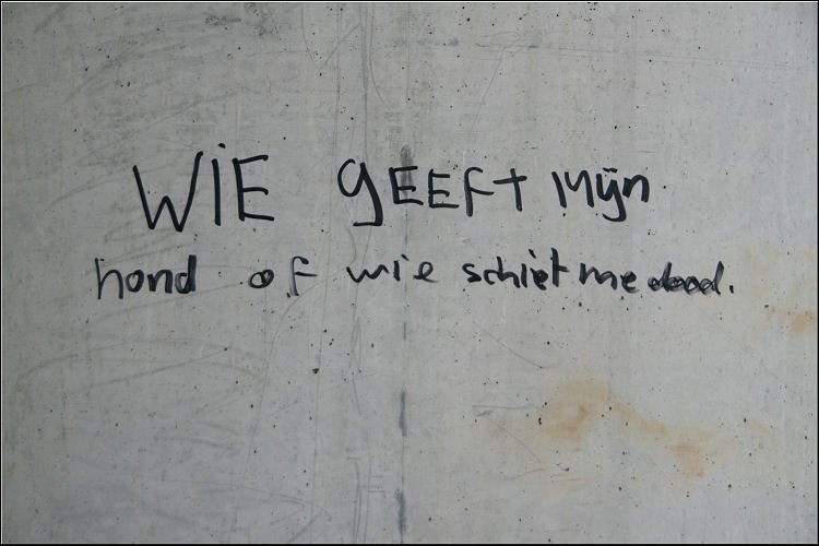 photo12.jpg