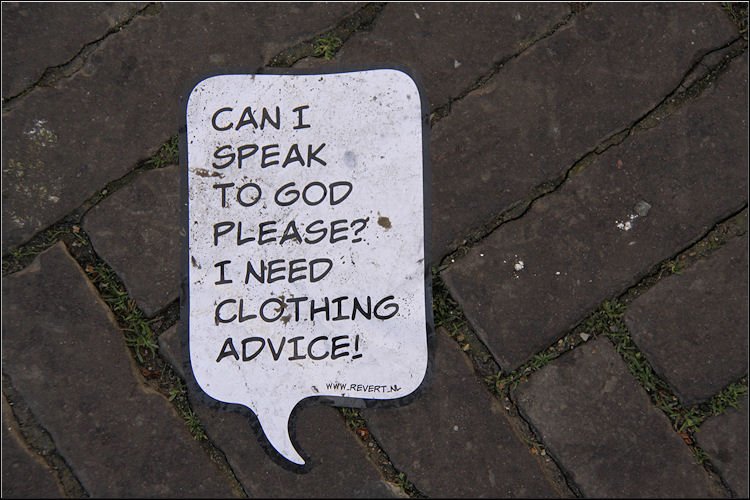 photo4.jpg