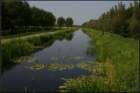 img_7473_small.jpg